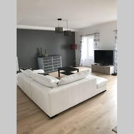 Annonay Centre, Grand Appartement Cosy, 3 Chambres 外观 照片
