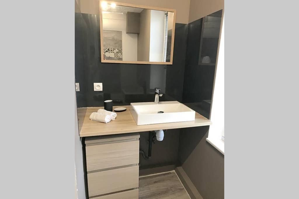 Annonay Centre, Grand Appartement Cosy, 3 Chambres 外观 照片