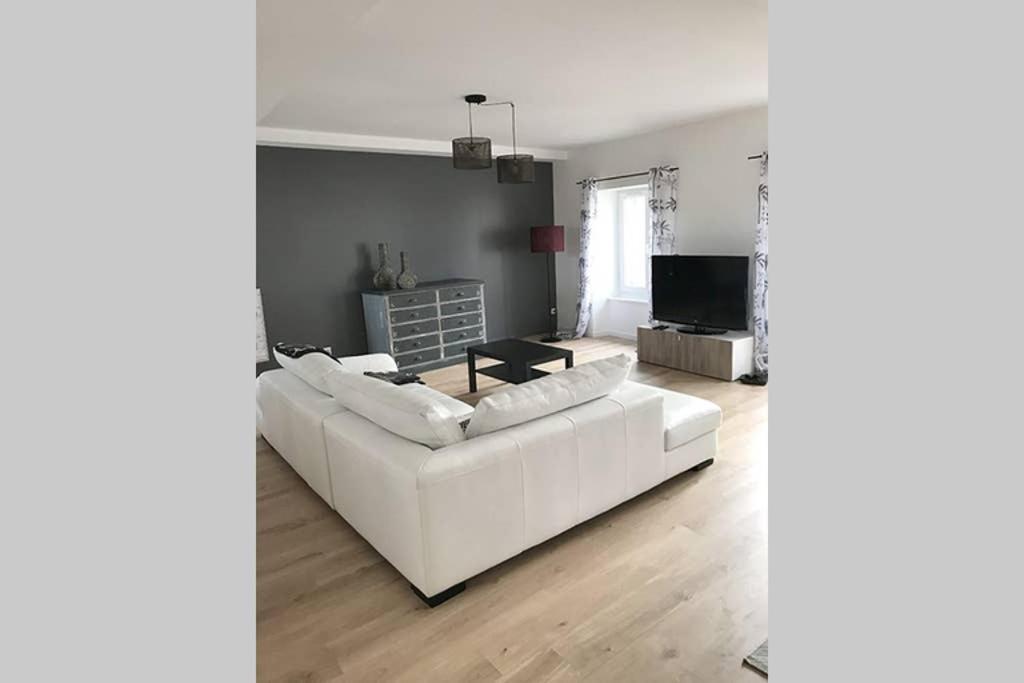 Annonay Centre, Grand Appartement Cosy, 3 Chambres 外观 照片