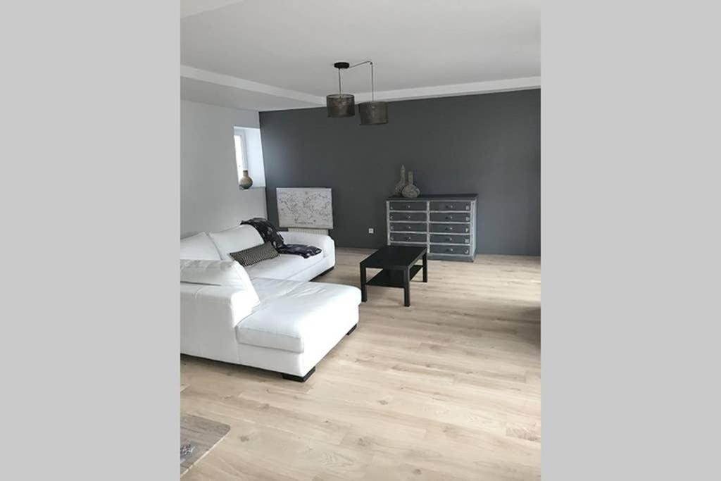 Annonay Centre, Grand Appartement Cosy, 3 Chambres 外观 照片